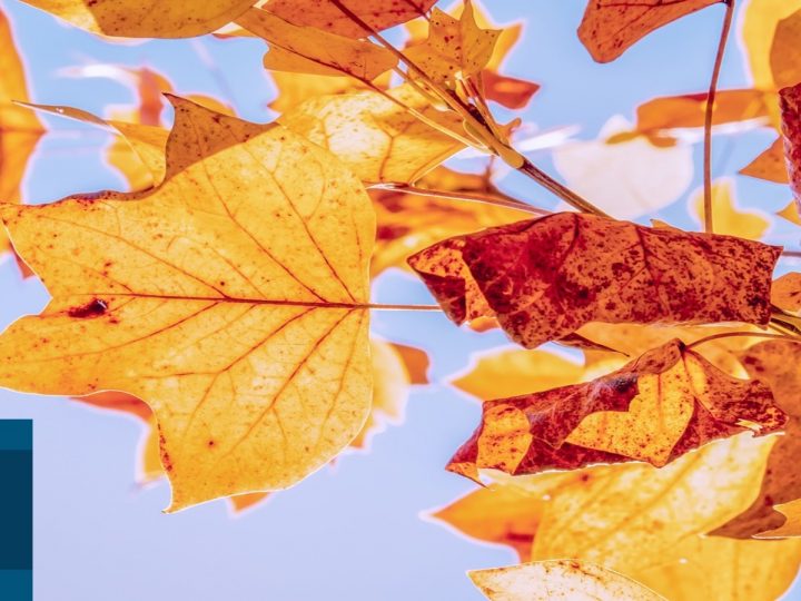 Lo que hicimos en España