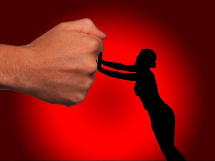 Soy tu feminista de guardia: Discusiones, duras y triviales en la vida de una activista.