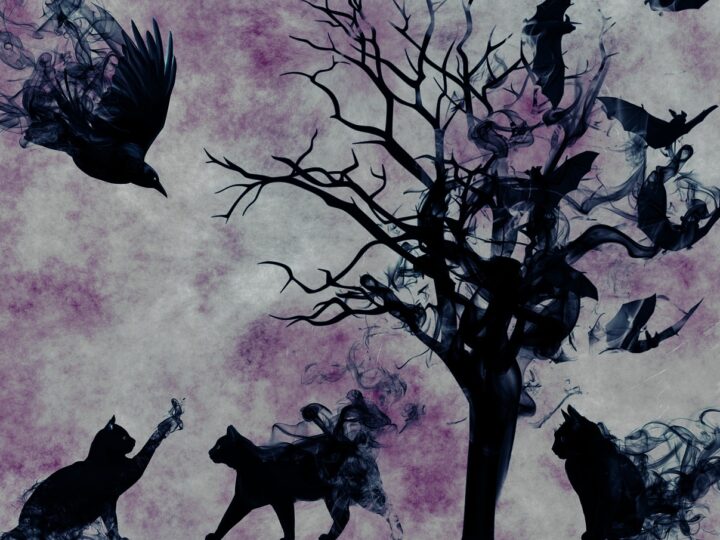 La mujer de todos los secretos