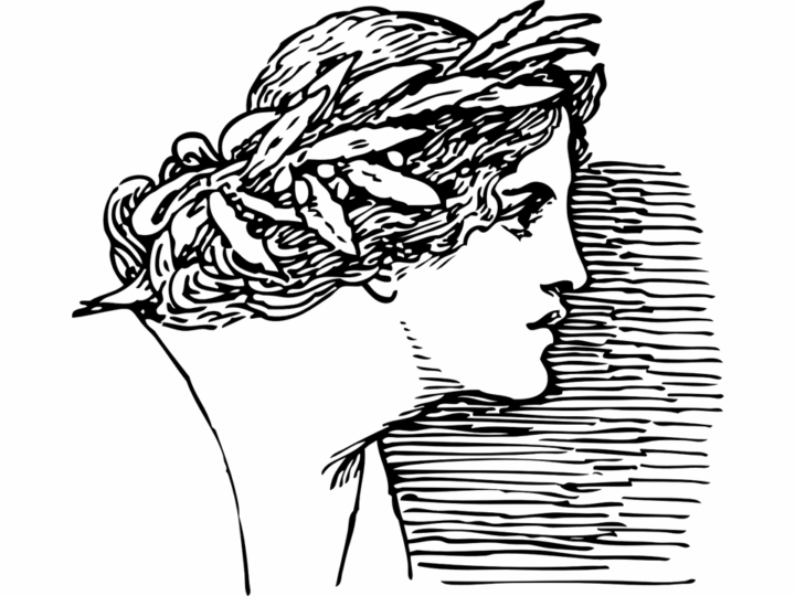 Sueños de Justicia: La pasión de una abogada feminista