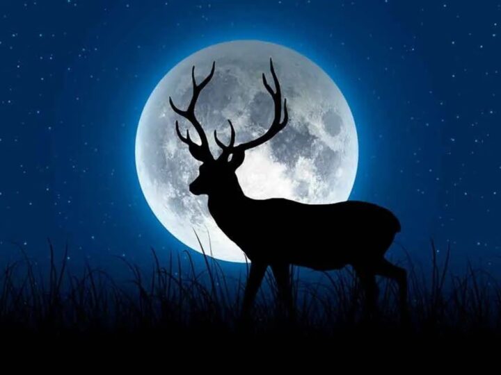 Luna llena de ciervo en Capricornio
